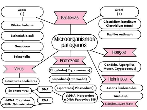 Microorganismos Patógenos Mary Greise Flores Garcia Udocz