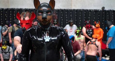 Exploring Pup Play Aesthetics Pup Hood Or Human Mask