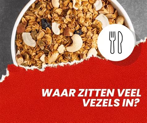 Waar Zitten Veel Vezels In Bekijk Onze Uitgebreide Lijst