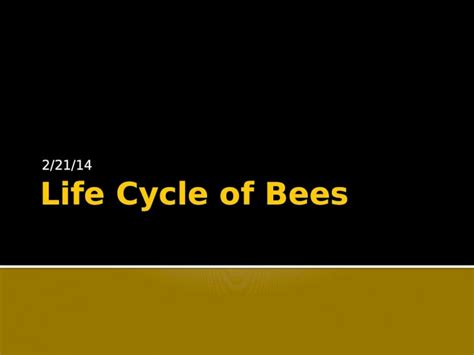 (PPTX) Life Cycle of Bees - DOKUMEN.TIPS