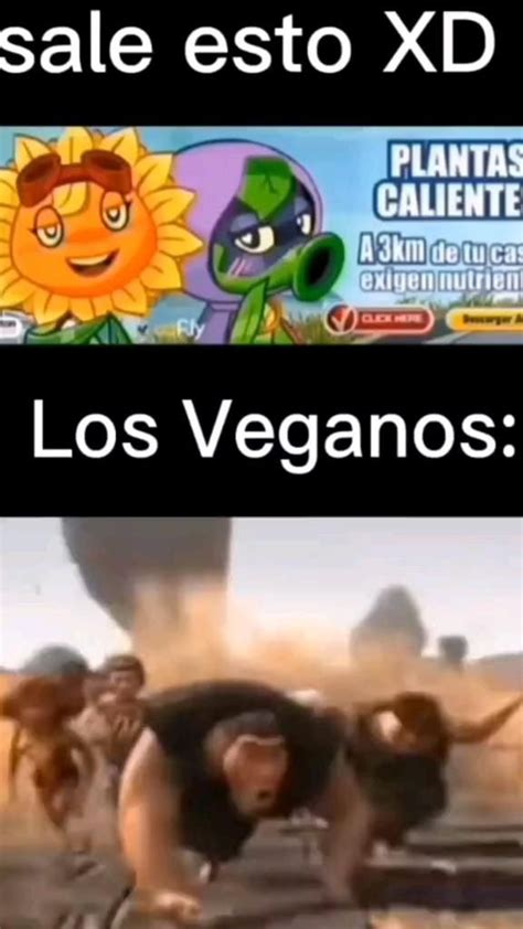 Pin En Un Video Meme Más Del Montón En 2024 Imágenes Divertidas Imágenes Graciosas Humor En