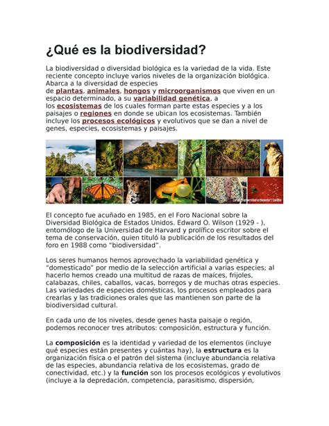 Infografia Sobre La Biodiversidad Biologia I Unison Studocu Themelower