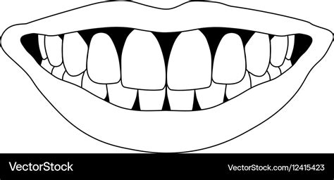 Perfect smile teeth Royalty Free Vector Image - VectorStock