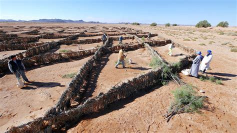 Desertification Prevention Photograph by Thierry Berrod, Mona Lisa ...