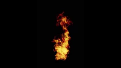 Fire Flames Black Background — Stock Video © ArtemP1 #186419926