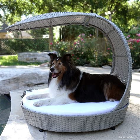 The Best Canopy Dog Beds for Style and Comfort - PuppyLists