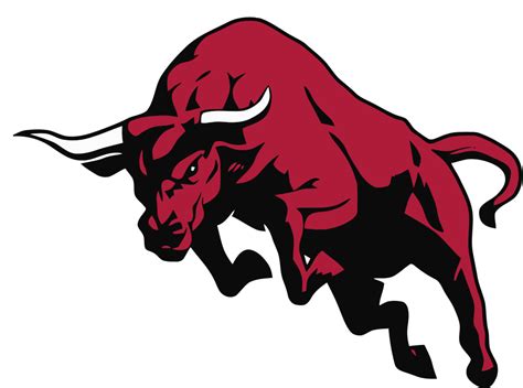 Bull PNG Image | PNG All