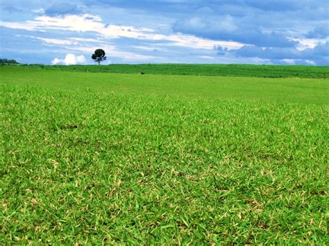 Green Way, photo files, #1409208 - FreeImages.com