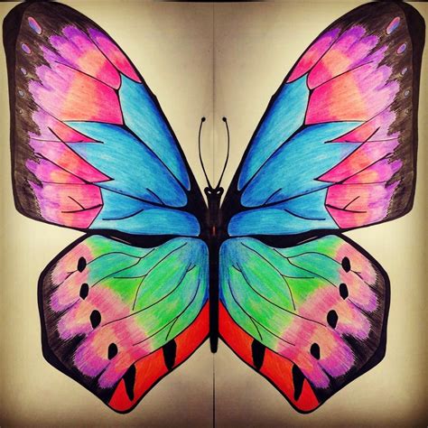 Butterfly Art With Colour Pencils Butterfly Art Colorful Butterflies