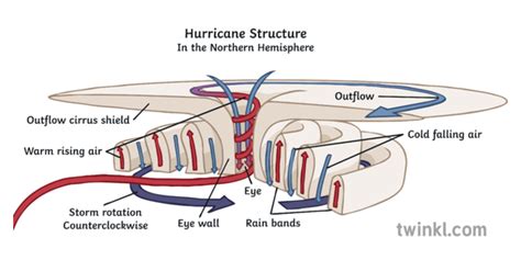 Hurricane Structure Diagram