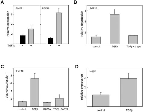 Control Of Bmp2 Fgf18 Or Noggin Expression By Tgf 1 A Effect Of Download Scientific Diagram