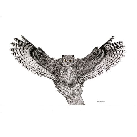 Truth Great Horned Owl The Finishing Touch