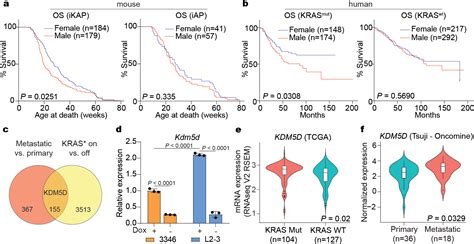 Histone Demethylase KDM5D Upregulation Drives Sex Differences In Colon