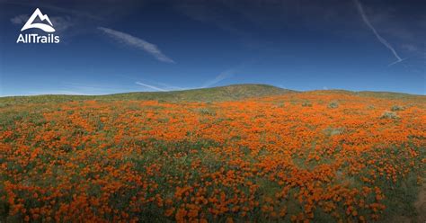 Best hikes and trails in Antelope Valley California Poppy Reserve State ...