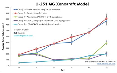 U 251mg Xenograft Model Altogen Labs