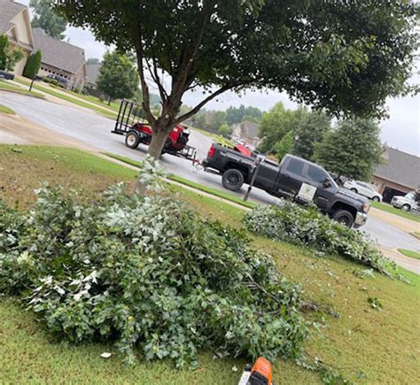 Best Tree Trimming Service that Never Fails