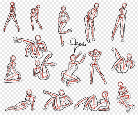 Gesture Drawing Poses Angle Mammal Text Png Pngwing