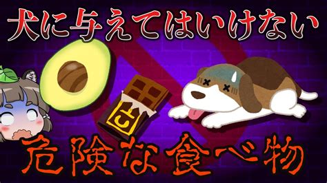 【絶対ng！】犬に食べさせてはいけない危険な食べ物 Youtube