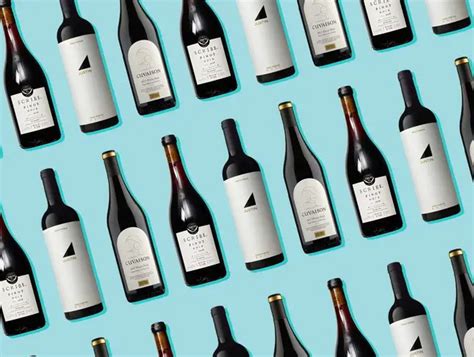 12 Melhores Vinhos Lambrusco Bons e Baratos para Comprar Ótimo