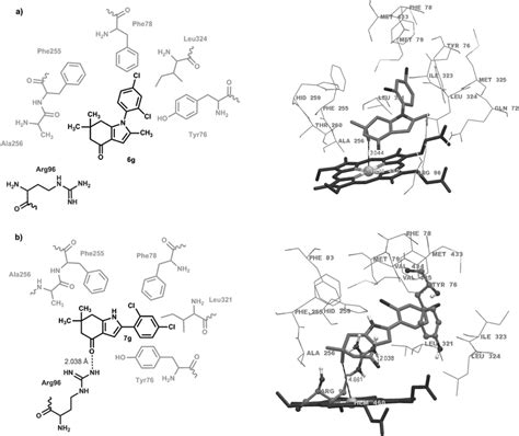 Predicted Binding Modes And Docking Conformations Of The Representative