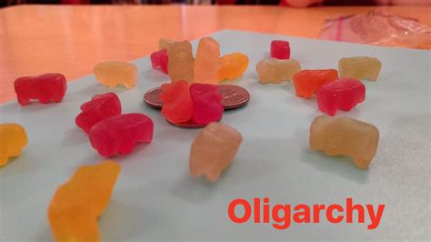 Gummy Government 2017 Mr Rimmeys Classroom