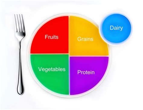 Usda Food Pyramid Chart