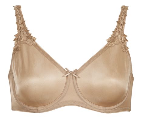 Dominique Nude Ivory Fine Lingerie
