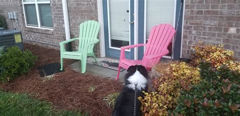 My neighbor must be Timmy : r/cosmoandwanda