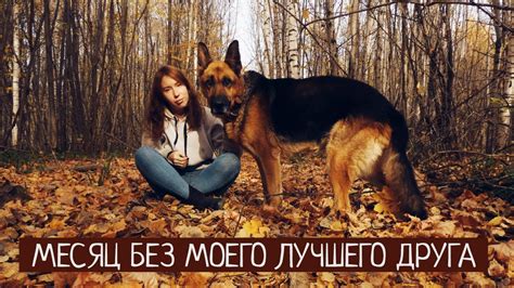 Месяц без моего лучшего друга. Как пережить смерть питомца - YouTube