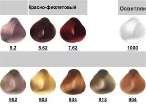 Капус Палитра Цветов Фото – Telegraph