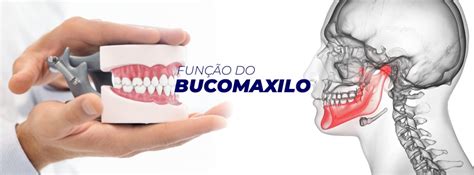 Bucomaxilo O Que Faz - Bucomaxilo - Hospital 22 de Outubro
