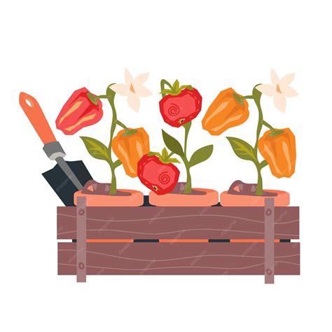 Premium Vector | Home garden vegetables emblem or sign veggies growing