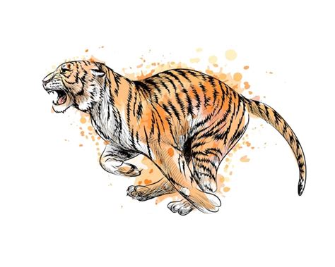 Premium Vector Portrait Of A Lying Tiger From A Splash Of Watercolor