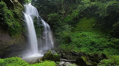 Destinasi Wisata Madiun Paling Hits Dan Wajib Dikunjungi Agiasofia