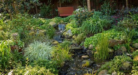 Photography: Hillside Landscaping | Kellogg Garden Organics™