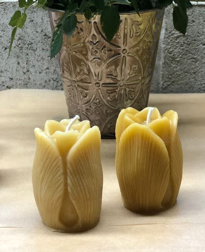 Beeswax Tulip Candle Whidbeywaxworks