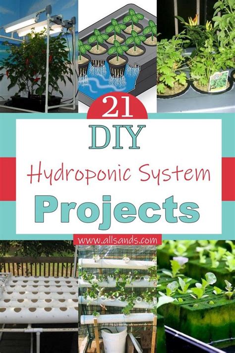 21 DIY Hydroponic System Projects & Ideas - All Sands