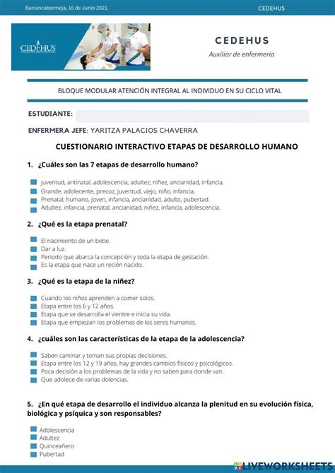 Etapas Desarrollo Humano Interactive Worksheet Live Worksheets