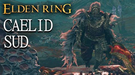 ITA Elden Ring Gameplay CONFESSORE 22 Guida Palude Di Aeonia E