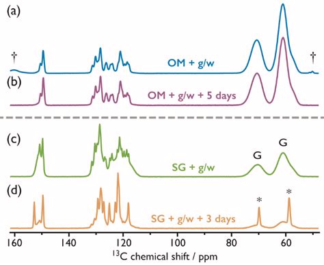 Time Dependent K Dnp Enhanced H C Cpmas Nmr Spectra A