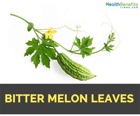 Bitter Melon leaves Facts and Nutritional Value