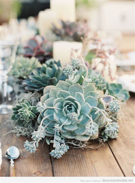 Plantas Para Centros De Mesa - Plantas Como Centros De Mesa Para Bodas Vinilo De Planta Grandes Hojas
