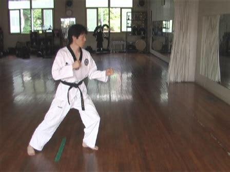 Dollyeo Chagi Turning Kick