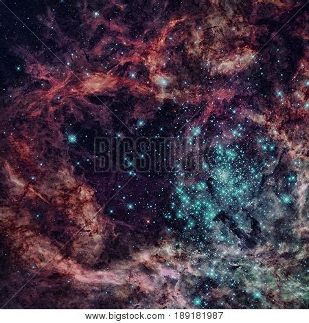 Star Cluster Tarantula Image & Photo (Free Trial) | Bigstock