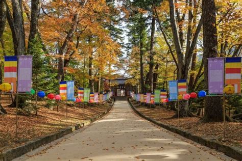 Busan Fall Foliage Forecast 2021 — 6 Best Places To Visit In Busan