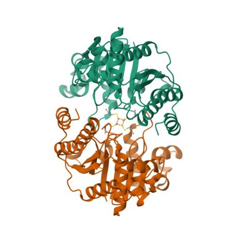 Rcsb Pdb Tc Cryoem Structure Of Nucleotide Free Form Of The