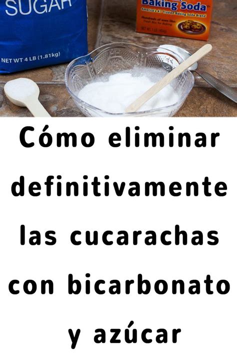 C Mo Eliminar Definitivamente Las Cucarachas Con Bicarbonato Y Az Car