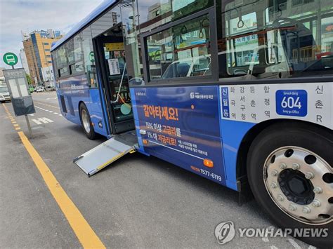 감사원 “교통약자용 저상버스 특정노선·시간 편중” 운영방식 개선 권고 서울신문