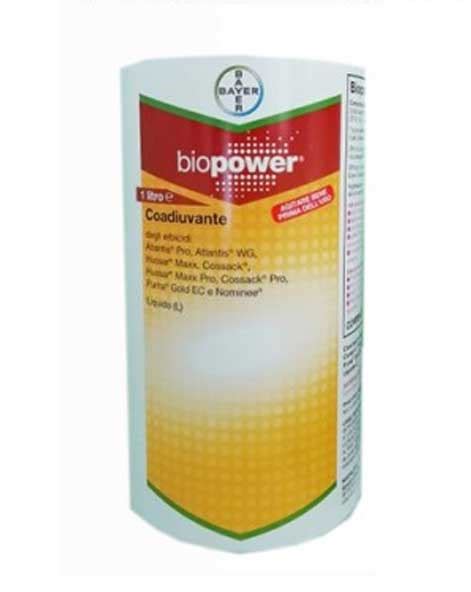 BioPower 1 Lt Aceti Srl