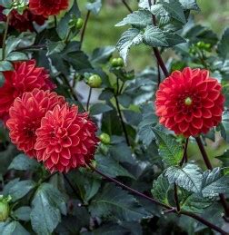 Акции и распродажи интернет магазин semena.by